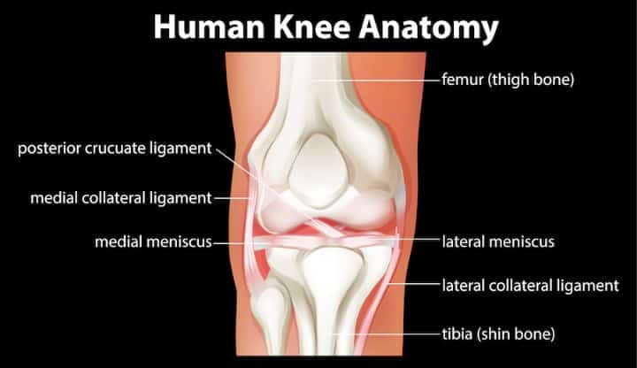 mcl injury is the injury of the medial collateral ligament of the knee